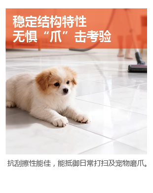 1770630004285642.jpg 冠固達- 1688匠心磚色系列水洗碳環(huán)彩砂美縫劑-04.jpg